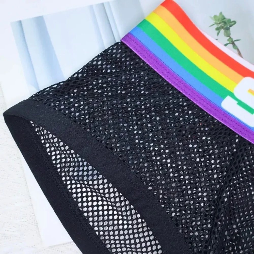 Black Mesh Boxer Briefs with Rainbow Waistband